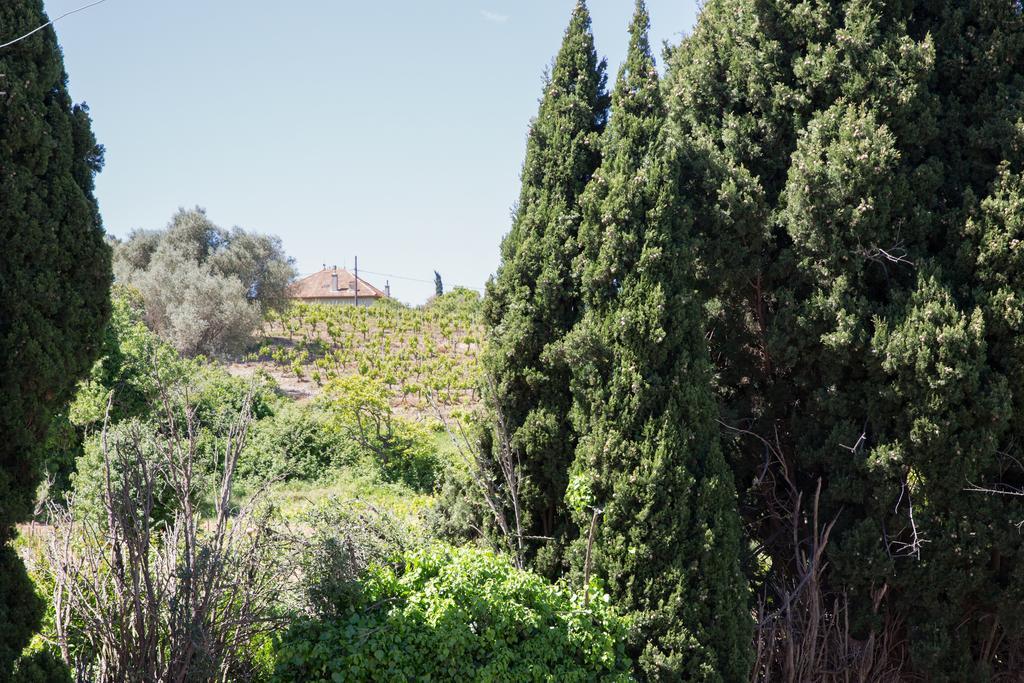 Residence La Source Toulon Dış mekan fotoğraf